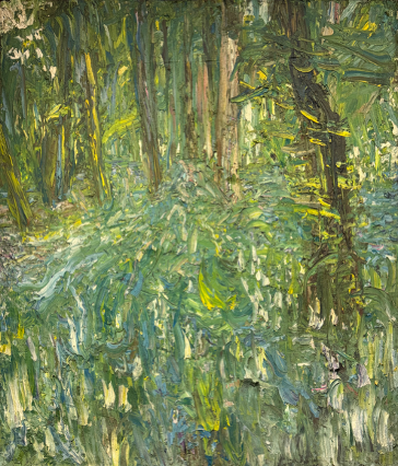 Bluebell Wood near Greendene Farm, 1969