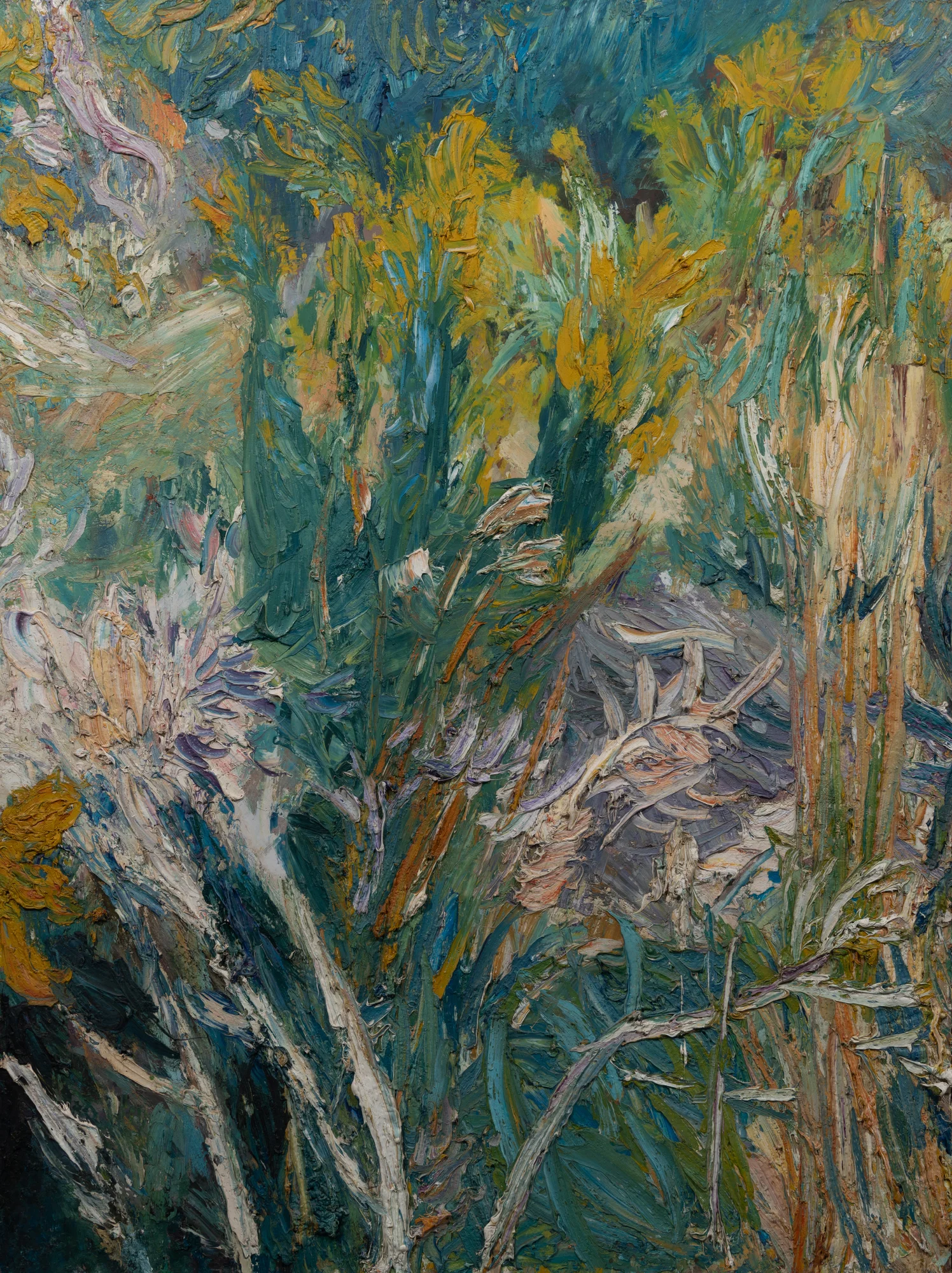 Golden Rod and Old Turnip Plant, Garden Prospect Street, 1971, oil on board, 122.3 x 91.4cm